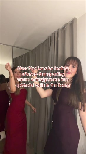 Understanding Na Ion Co-Transport in Biology