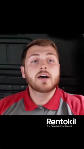 3 Reasons Why I Love Being a Graduate Pest Control Technician