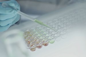 Best Sample Videos