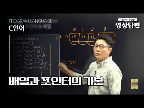 [Q&A] Video Answers | Array and Pointer Basics