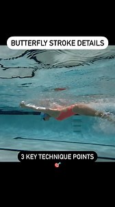 Been working on a LOT of Butterfly lately 😎 Technique and figuring out the proper rhythm are key to a FAST Butterfly 🦋 Points of focus are in the captions 👆🏽 #butterflyswimming #swimtechnique #swimcoach #swimlessons #swimtips #swimdrills #details | Peak Performance Swimming