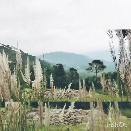 प्रकृति के अद्भुत नजारे के साथ आपका दिन शुभ हो#yogifilms #shorts#music #ukdaju#dance#nature #hills |