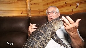 Dürfen wir vorstellen: Das ist Wally. 5 Jahre alt und 20 Kilo schwer - und vor allem ein echter Kuschler! Die Rede ist von einem Alligator, der seinem Besitzer Joie emotional zur Seite steht... 👀 🐊 #taff #Highlightclip #watch | taff