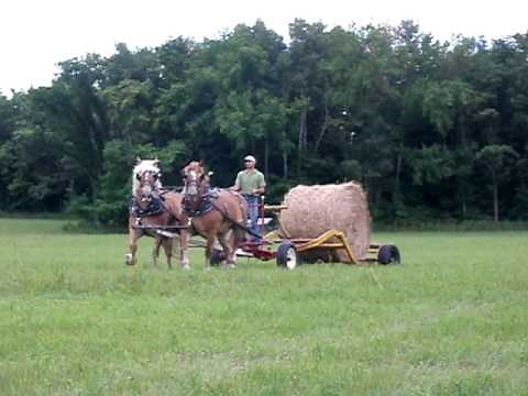 Horse-Drawn Round Bale Mover