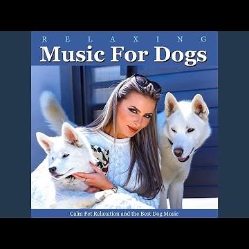 Calm Music for Dogs While You're Away (Guitar)