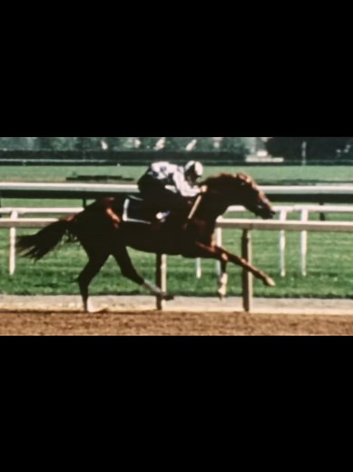 Secretariat: The Legend of Racing 1970-1989
