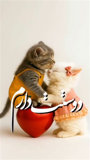 ‎دلبر♥️من‎ on Instagram‎: "بفرررست براش❤️"‎