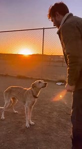 “Years passed… but his heart never forgot 💔🐕😭”#DogLove #ReunionStory #RescueDog #EmotionalReunion #AnimalLove #HeartMelting #ViralVideo #TrueBond #DogsAreFamily | Reunion Moments