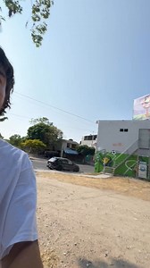 Wow huge lizard! What is that kind of lizard? 🦎 | Mav