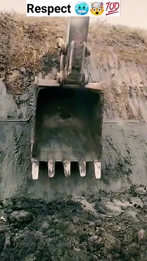 Amazingmon on TikTok