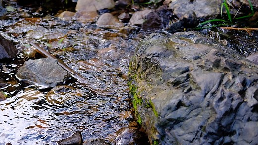 富士xt30 35f2 新手。。