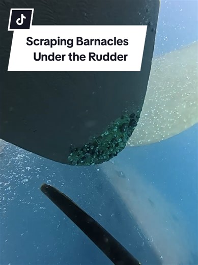 Scraping Barnacles Under the Rudder: Satisfying Video