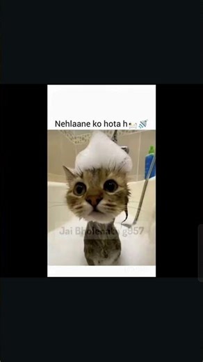 best friend song 🤭😂🤣