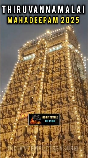Mahadeepam 2025 Live from a Thiruvannamalai #mahadeepam2025 #thiruvannamalai #thiruvannamalaideepam