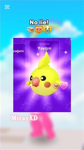 PKXD PETLER İLE NO LİE 💗(kuslar🤏🏻😭) #pkxd #fypシ #viral #akım #birds #kuşlar #pkxd #000 #000 #xdhype