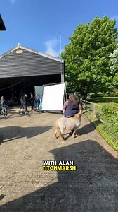 49K views · 1.7K reactions | Meet Big Bowler & Little Ginger Nut 樂 Behind the scenes on ITV! | Swfarrier | Facebook