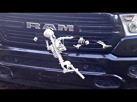 No way! NC Tyrant Hunter is almost at 200k , 1st and 2nd amendment audit