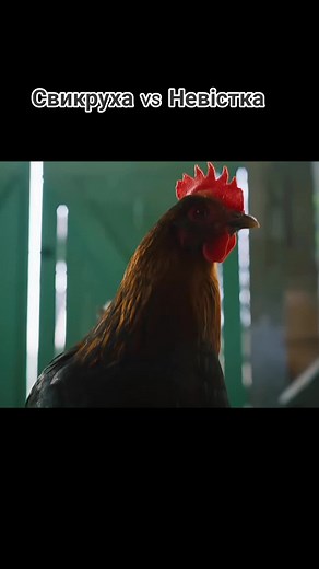 🥇 #спійматикайдаша #спійматикайдаша🎬 #спійматикайдашамотря🔥 #марусякайдашиха #мотрякайдашиха #славаукраїні🇺🇦🇺🇦🇺🇦 #твоїрекомендації #українапереможе #українапонадусе💙💛 #українатоп🇺🇦🇺🇦🇺🇦 #віравперемогу #костявойтенко #fyp #костя #rge #попопо #puf #viral #fyp #путінхуйло🔴⚫🇺🇦