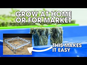DWC Hydroponics for Beginners: Easy Set-Up and Profitable | Complete Bootstrap Farmer Webinar