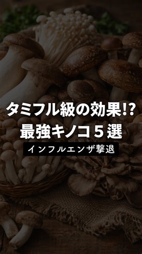 ハーブファスティング/薬草学研究家 織田剛 | ⚠️インフル撃退！最強キノコ５選⚠️ 1 マイタケ（舞茸） まさに「免疫の王様」 免疫効果スコア：9.2点 タミフル級の効果 動物実験にてa-グルカン（YM-2A）が 治療薬と同等の抑制効果を発揮。 ⚫︎ MDフラクション： 最強のNK細胞活性化作用。 ⚫︎... | Instagram