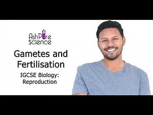 Gametes and Fertilisation - IGCSE GCSE (9-1) Biology
