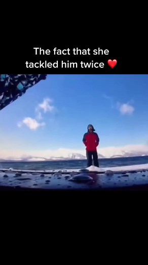 Romantic Wedding Proposal Videos Compilation