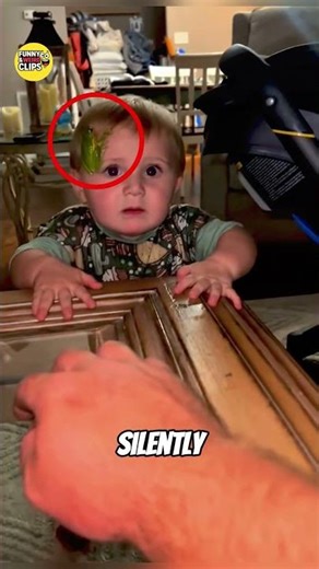 How Frogs Communicate Using Their Fingers 😲🐸