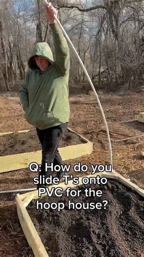 One of the most common questions I got on my PVC hoop house video was: How do you slide the T’s onto the pipe? 🛠️ Here’s my setup: 👉 I use ½-inch PVC for the arches. 👉 Then I size up to ¾-inch T’s so they slide right over the ½-inch pipe. 👉 The T’s reduce back down to ½-inch on the side, so I can attach the horizontal bracing. 👉 Once everything’s in place, I screw them down so they don’t move. This little trick makes building the frame so much easier! #YearRoundGardening #DIYGarden #Hoophou