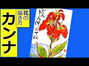 How to draw canna flowers | Gardening picture letter sketch | Summer, early summer, July, August,...