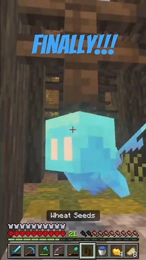 FINALLY! I Found an Allay in Minecraft!