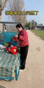 Top Funny Videos Part 523 | Funny Happy