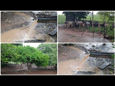 Chuva Grossa na Roça