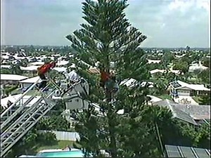 Rescue 911 - Kids in tree
