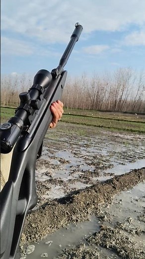 Airgun Bird Hunting | Silent & Deadly Shots Bird Hunting with Airgun | Field Accuracy Test