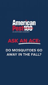 When it comes to pests, no one explains it better than our in-house experts. One of the questions we get this time of year is: “Do mosquitoes go away in the fall?” According to American Pest’s very own ACE (Associate Certified Entomologist), Leland Rudner, mosquitoes don’t follow the calendar quite like we do; their season doesn’t end when summer does. As long as nighttime temperatures stay above 50°F, they’re still active—and biting. 👉 Stay protected this fall—schedule your inspection today ht
