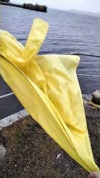 Yellow PVC raincoat 04