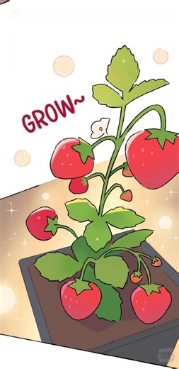 Discover the Rosamund Family History in Episodes 8 & 13