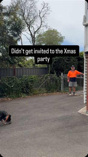 Gate Mate on Instagram: "When the Xmas party is three doors up and Mr Brightside is calling your name 🎶 No invite. No worries 😊🤺 #MrBrightside #AussieChristmas #TradieHumour #ThatNeighbour #LocalLegends #ChristmasParty #NeighbourLife #TradieLifeAustralia #Gatemate #GatemateNewy #HappyFencer #NewcastleNSW #LakeMacquarie"