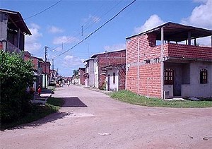 Traficantes De Panico [1980]