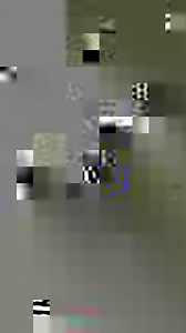 172K views · 4.5K reactions | Dase cha cha sara shawe @topfans Rashid Khan Murad Saeed Afghanistan Cricket Board Ismail Shahid Manzoor Ahmad Pashteen Aimal Wali Khan KPK Ali Muhammad Khan Asghar Afghan Shahid Afridi | Saliman khan | Facebook