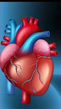 Ever wondered how heart attack works