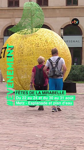 [Idée de sortie] C'est l'été ! Profitez des Fêtes de la Mirabelle, un moment festif, gourmand et rythmé, avec des déambulations, spectacles, concerts, guinguette et couronnement de la Reine de la Mirabelle 2025, du 22 au 24 août à l'Esplanade et du 30 au 31 août au plan d'eau de Metz. 👉 Plus d’infos https://metz.fr/ Ville de Metz | France 3 Lorraine