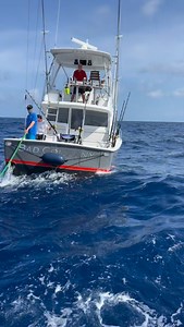 Leg 14 Ascension Island - Bad Company world tour 2025. BC38 Viking Billfish fueling in route from Abidjan west Africa to Ascension Island. | Bad Company Fishing Adventures