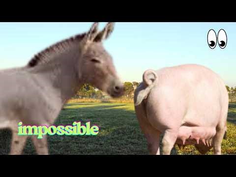 Crossing the Biological Line: What Happens When Genes Clash