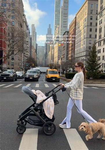 Happy 9 months to my Annie girl!!! Can’t believe it’s been 9 months of stroller walks…the best part of my day 🥺🫶 #motherhood #motherdaughter #motherdaughterlove #newyorkcity #nyc