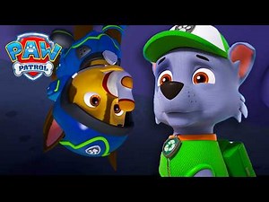The pups save the songbirds! 🐦 - PAW Patrol