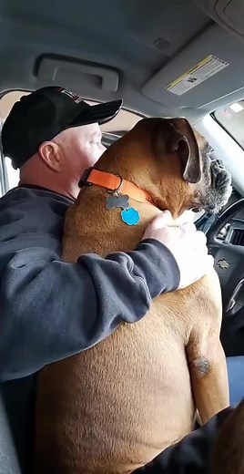 Man's best friend! #boandtytheboxerboys #boandty #botyjax #boxset #ripjax #ripbo #boxerboys #boxerdogsoftiktok #boxerbrothers