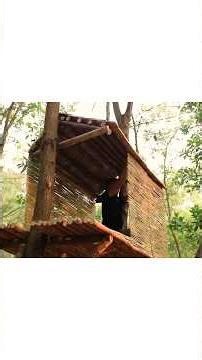 Build Off-Grid Bamboo House #shorts #bushcraft #offgrid #shortsfeed #bamboo #survival