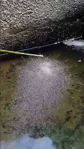 DIY Simple Fishing Tool! Did You Learn It