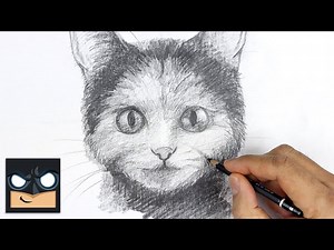 How To Draw a Cat | Sketch Saturday - Videos For Kids